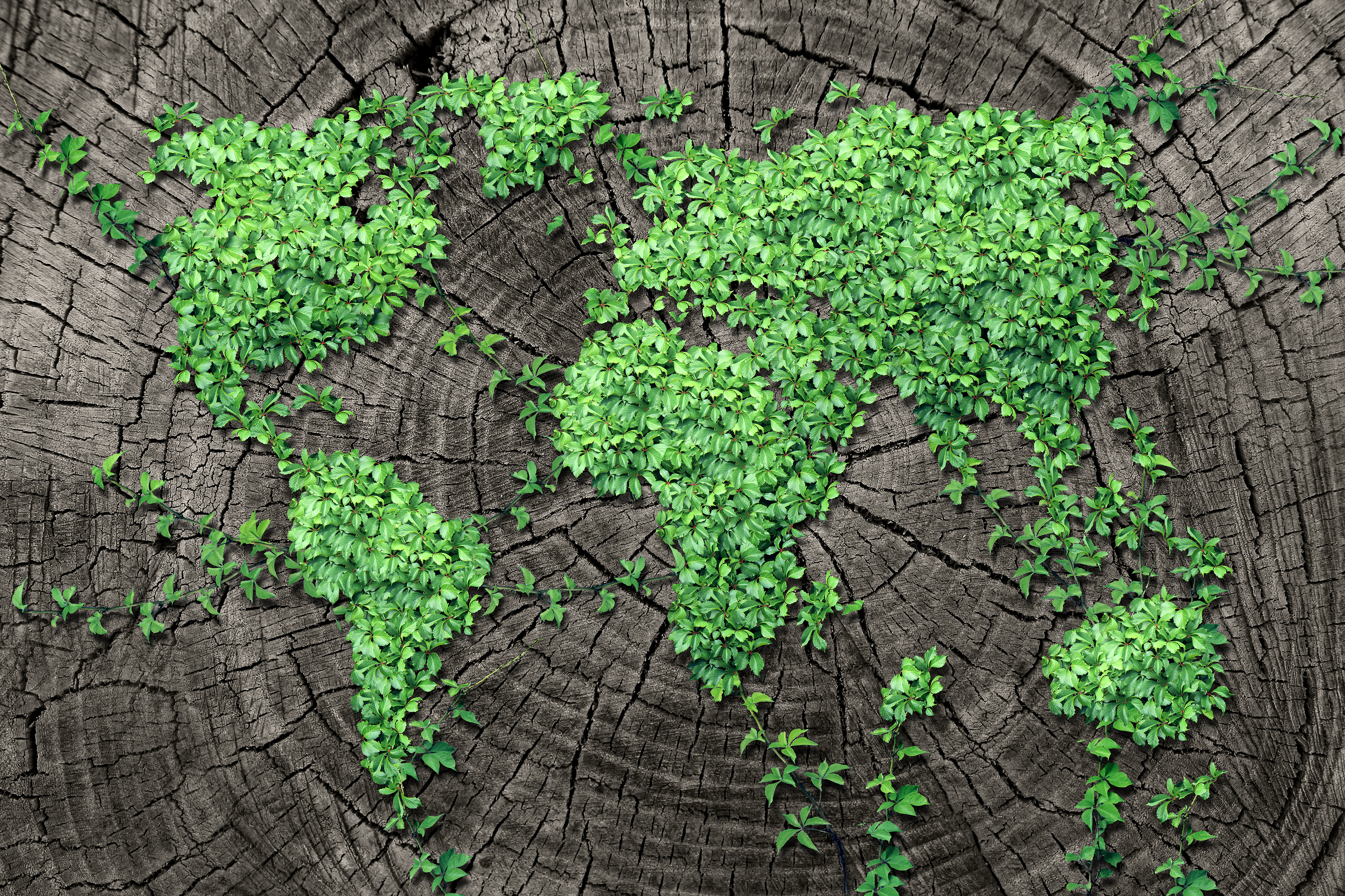 Oproep circulaire economie 2019